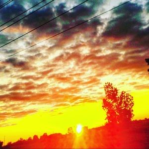 Meet your Posher, Michaela